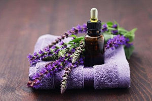 The Benefits of Lavender Oil