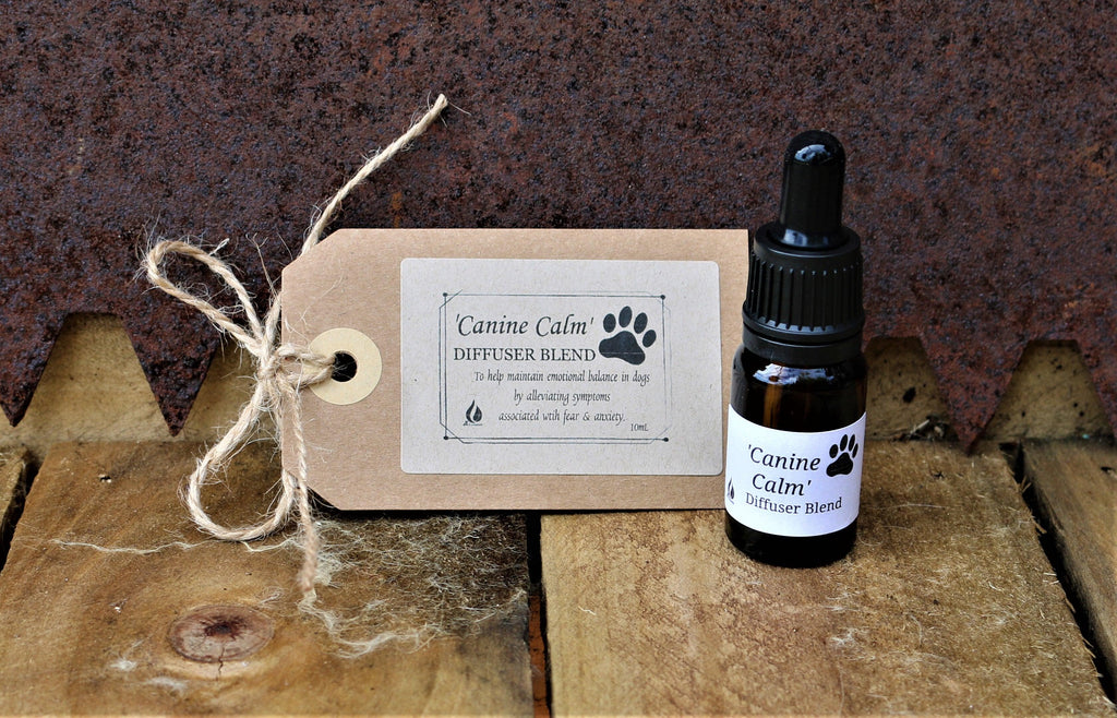 'Canine Calm' Diffuser Blend A+ Essentials Pty Ltd