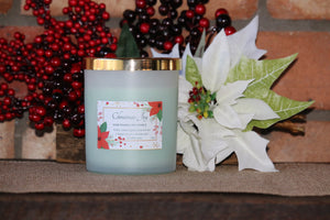 CHRISTMAS JOY - Hand Poured Soy Candle A+ Essentials Pty Ltd